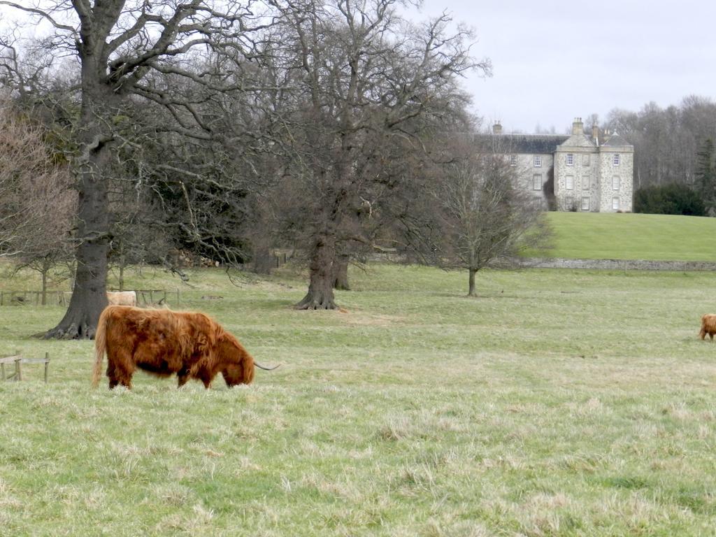 Balmoral Guesthouse Edinburgh Bagian luar foto