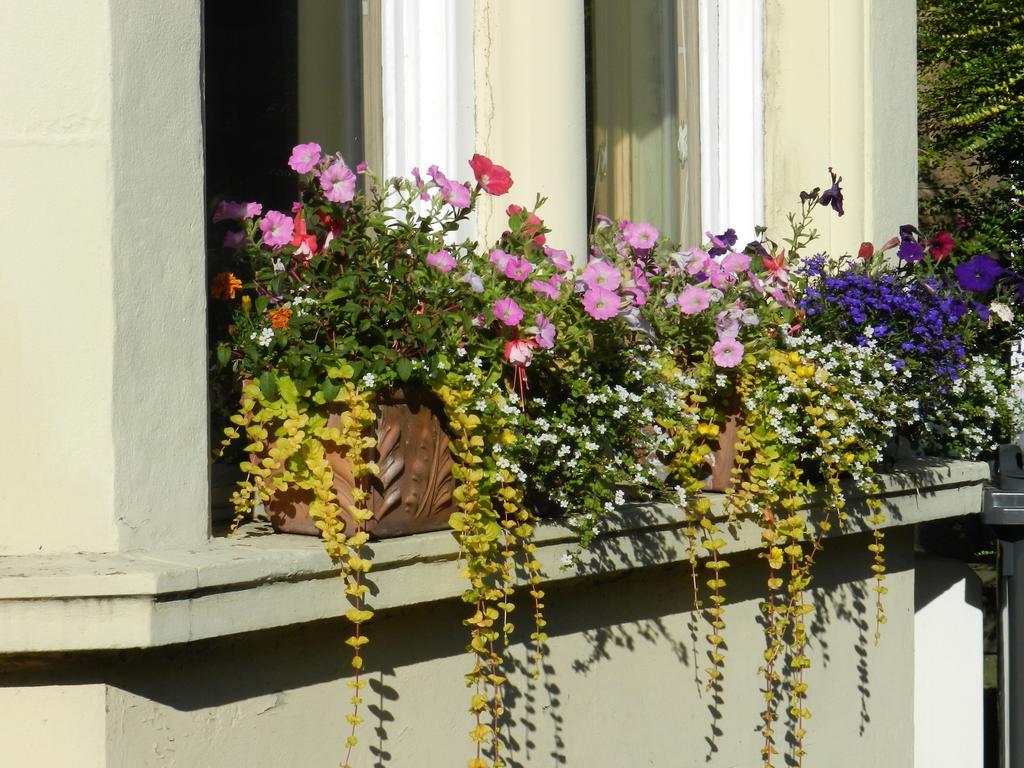 Balmoral Guesthouse Edinburgh Bagian luar foto